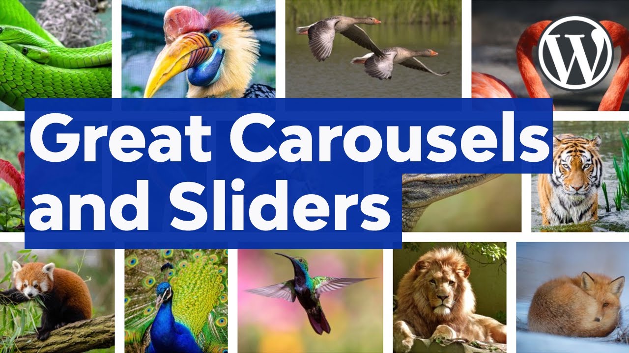 21 Best WordPress Slider Carousel Plugins of 2022