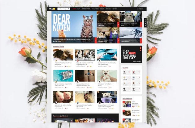 ViralVideo - User Membership News / Magazine Theme