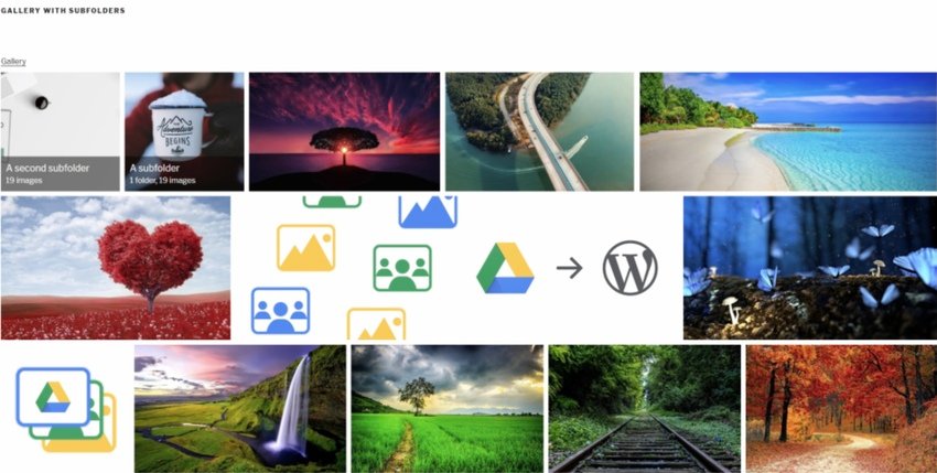 Image Video Gallery from Google Drive