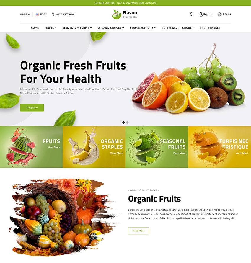 Flavoro  Organic Food Shopify Store